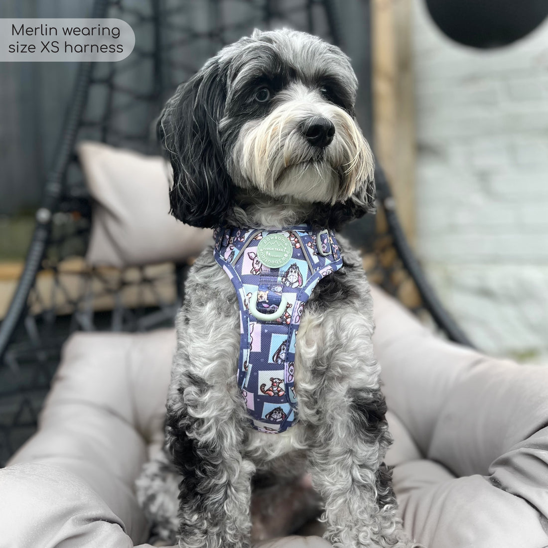 Disney© Tough Trails™ Harness -  Winnie + Friends