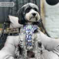 Disney© Tough Trails™ Harness -  Winnie + Friends