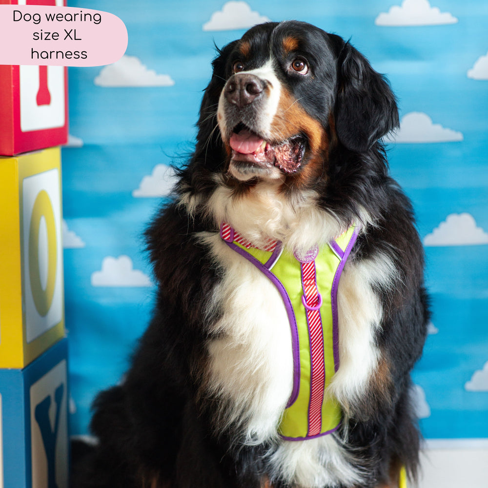 Disney© Tough Trails™ Harness - Buzz Lightyear