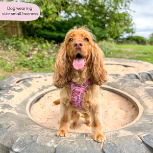 Tough Trails™ Harness -  Cowgirl