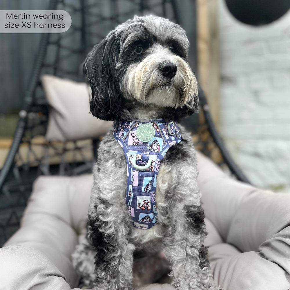 Disney© Tough Trails™ Harness -  Winnie + Friends