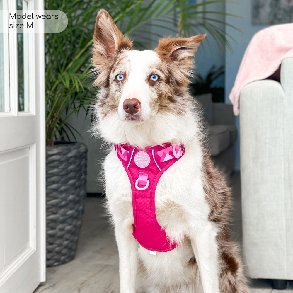 Tough Trails™ Harness - Walkies Ready® Raspberry Pink