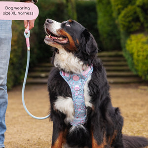 Disney© Tough Trails™ Harness - Mad Hatters Tea Party