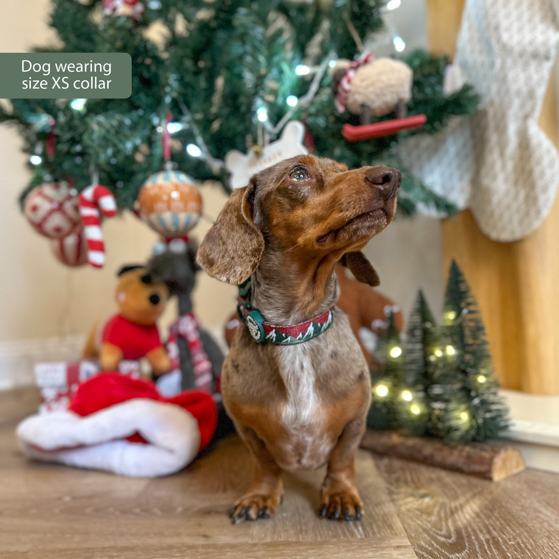 Collar – Walkies Ready® Snowy Mountains