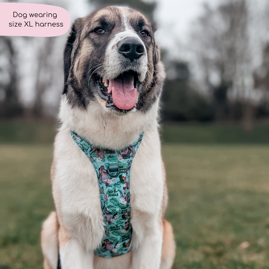 Disney© Tough Trails™ Harness - Jungle Book