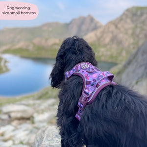 Tough Trails™ Harness - Roaming Wild