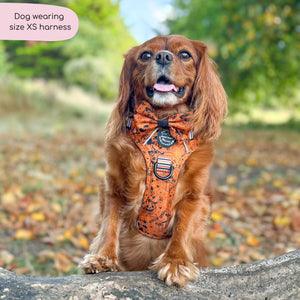 Disney© Tough Trails™ Harness - Halloween