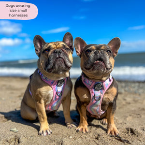 Tough Trails™ Harness - PPB Pastel Swirl