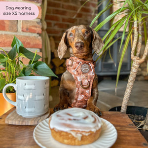 Tough Trails™ Harness - Cinnamon Spice