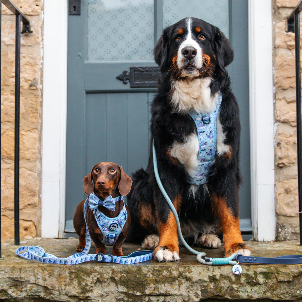 Disney© Tough Trails™ Harness - Eeyore