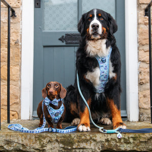 Disney© Tough Trails™ Harness - Eeyore