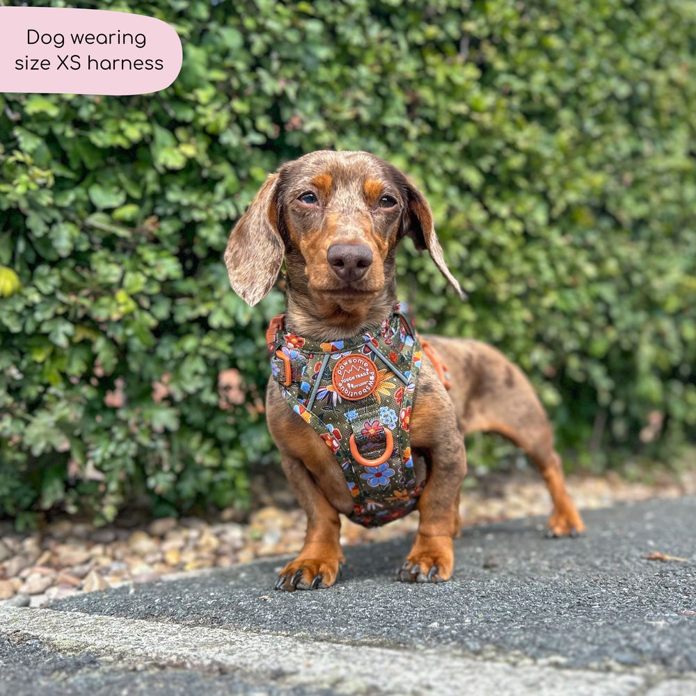 Tough Trails™ Harness - Rust & Bloom