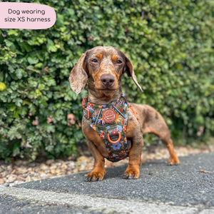 Tough Trails™ Harness - Rust & Bloom