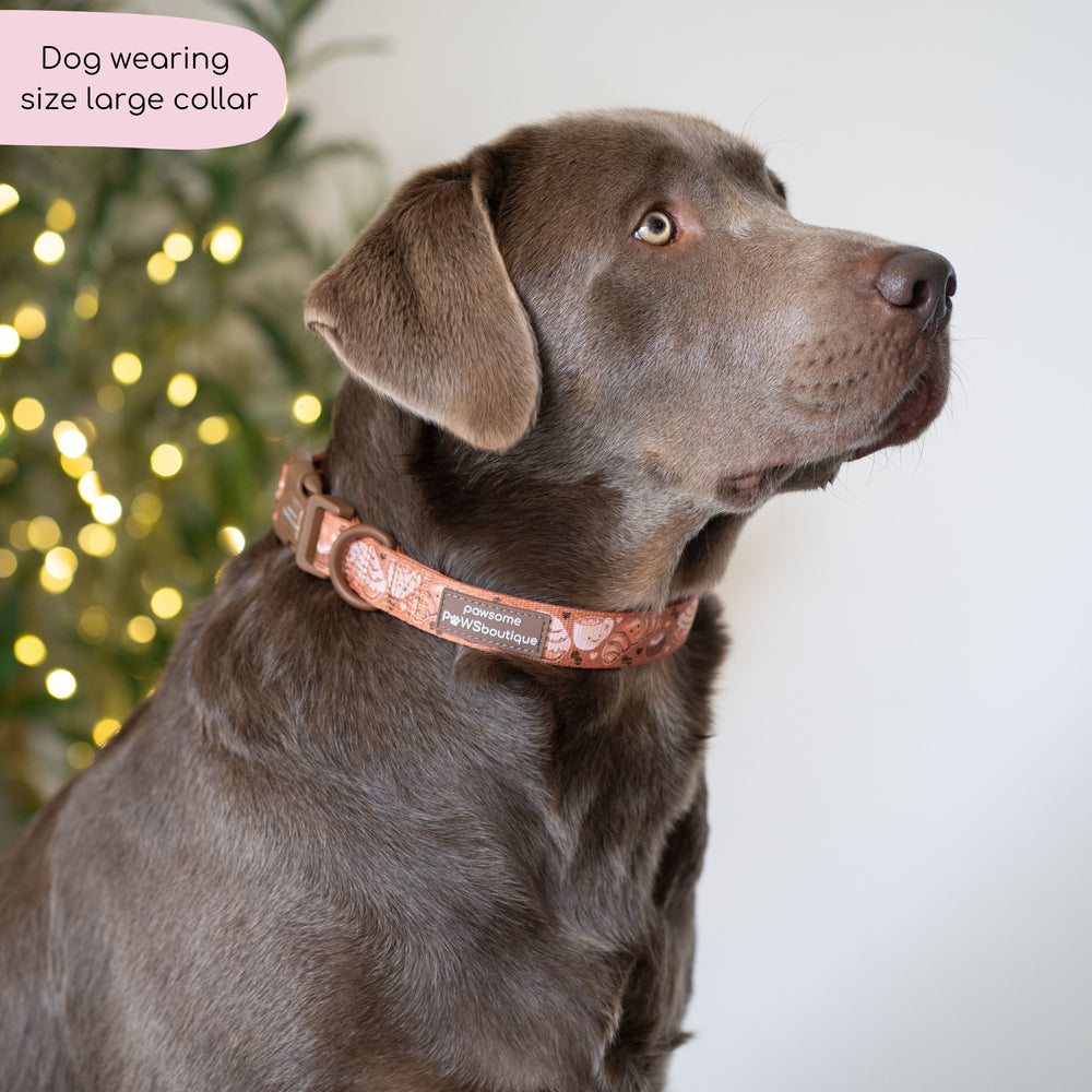 Collar - Cinnamon Spice