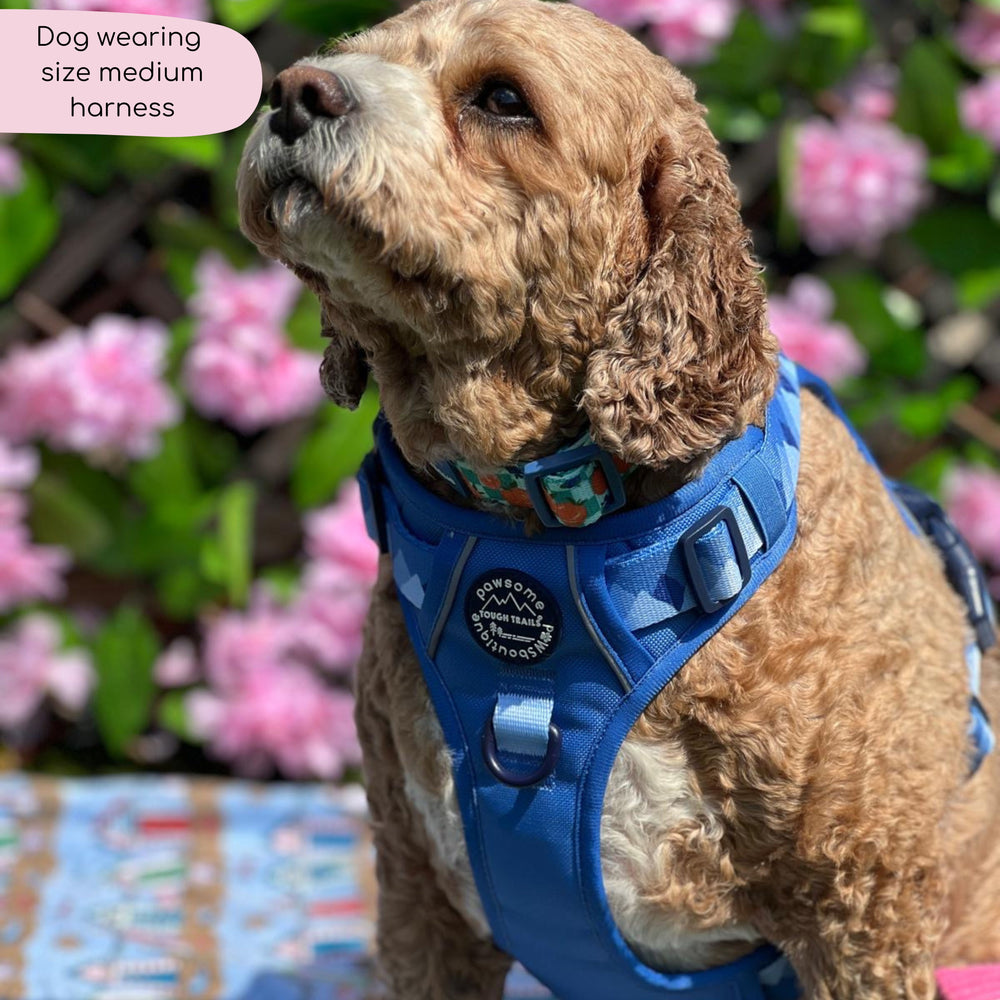 Tough Trails™ Harness - Walkies Ready® Cornflower Blue