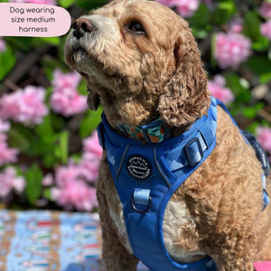 Tough Trails™ Harness - Walkies Ready® Cornflower Blue