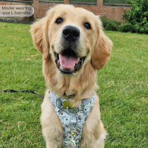 Disney© Tough Trails™ Harness - 100 Aker Wood