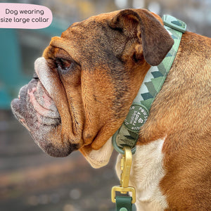 Collar - Walkies Ready® Forest Green