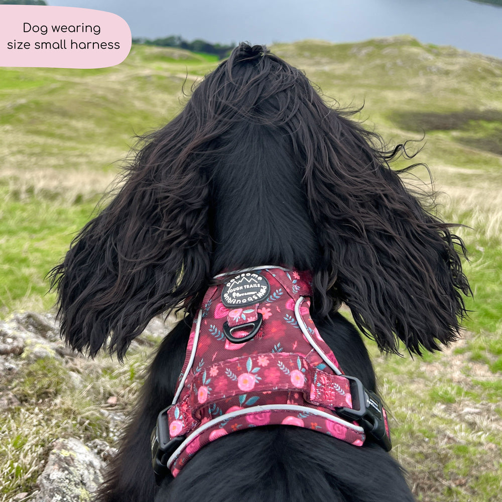 Tough Trails™ Harness - Mable's Meadow