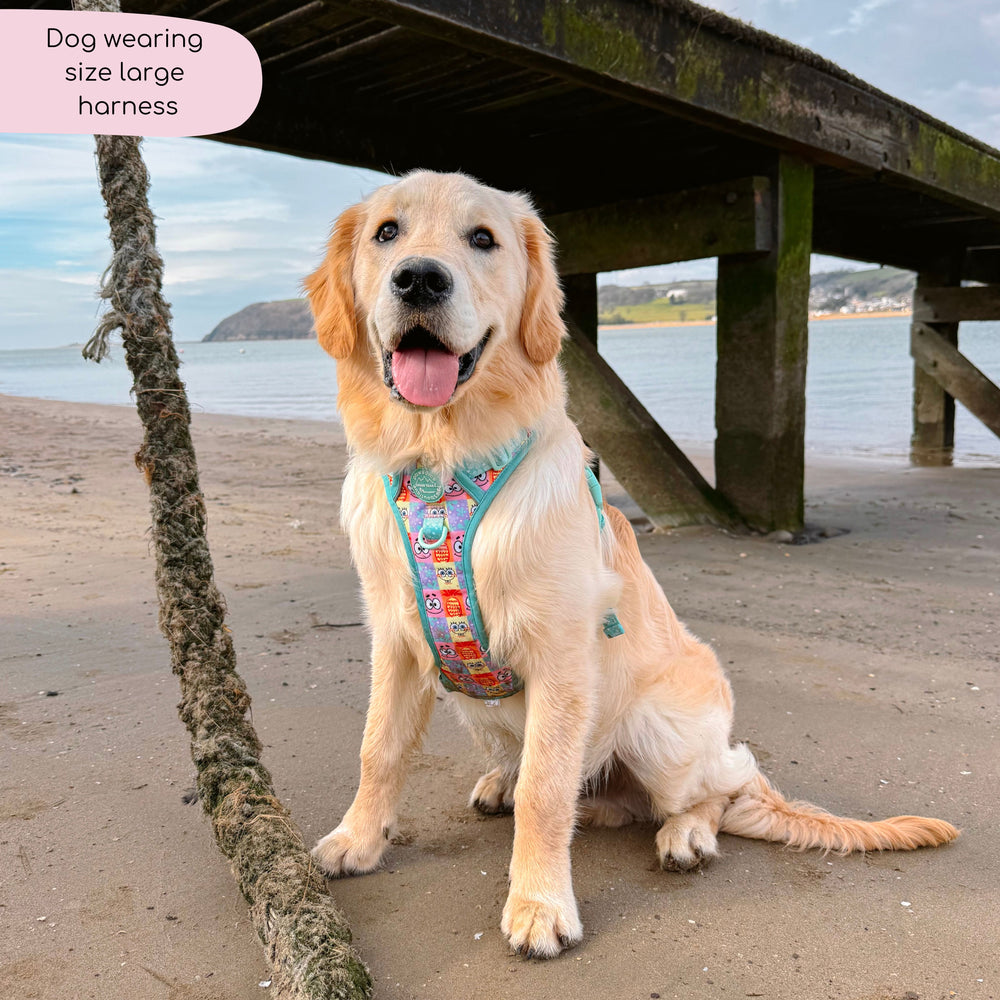 Tough Trails™ Harness - Spongebob