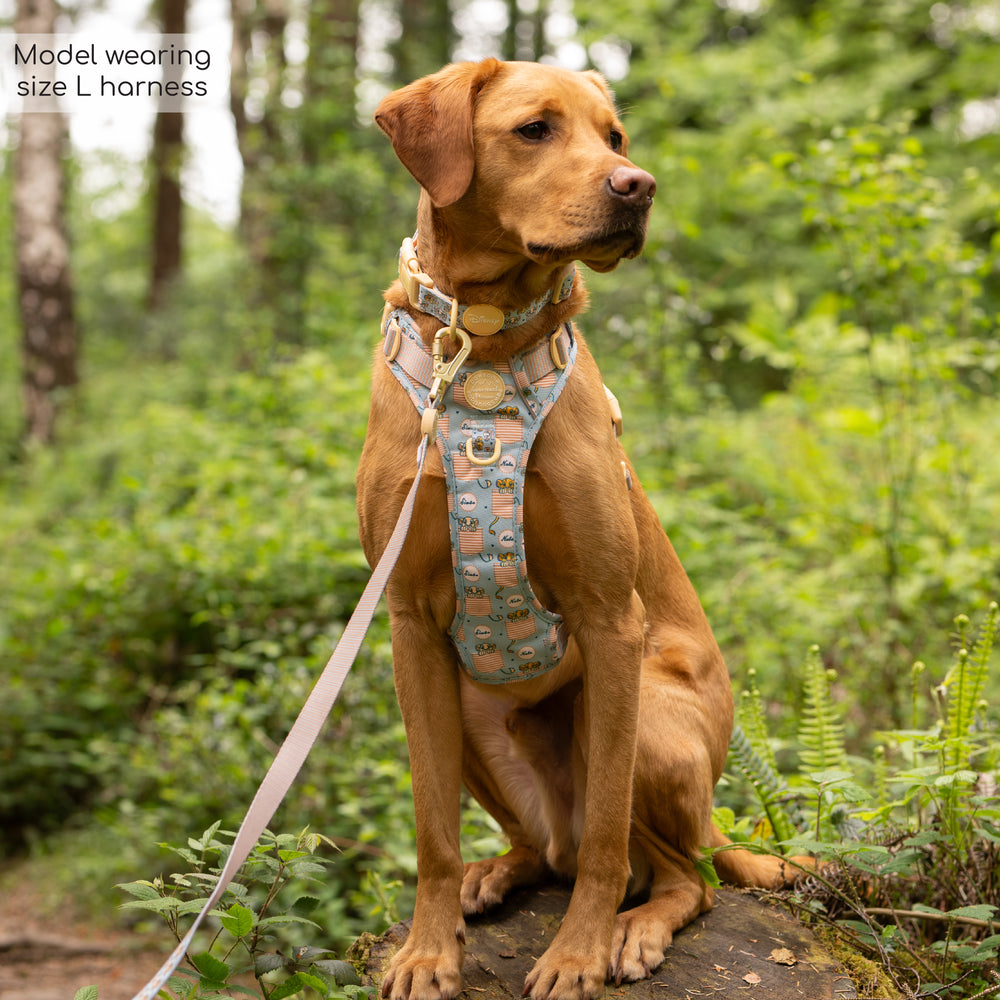 Disney© Tough Trails™ Harness - Lion Friends