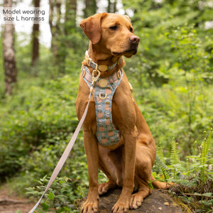 Disney© Tough Trails™ Harness - Lion Friends