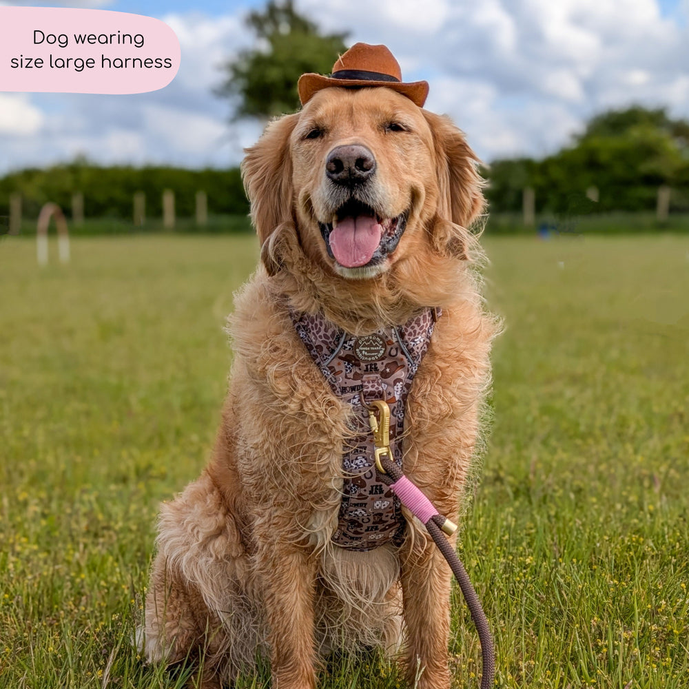 Tough Trails™ Harness -  Cowboy