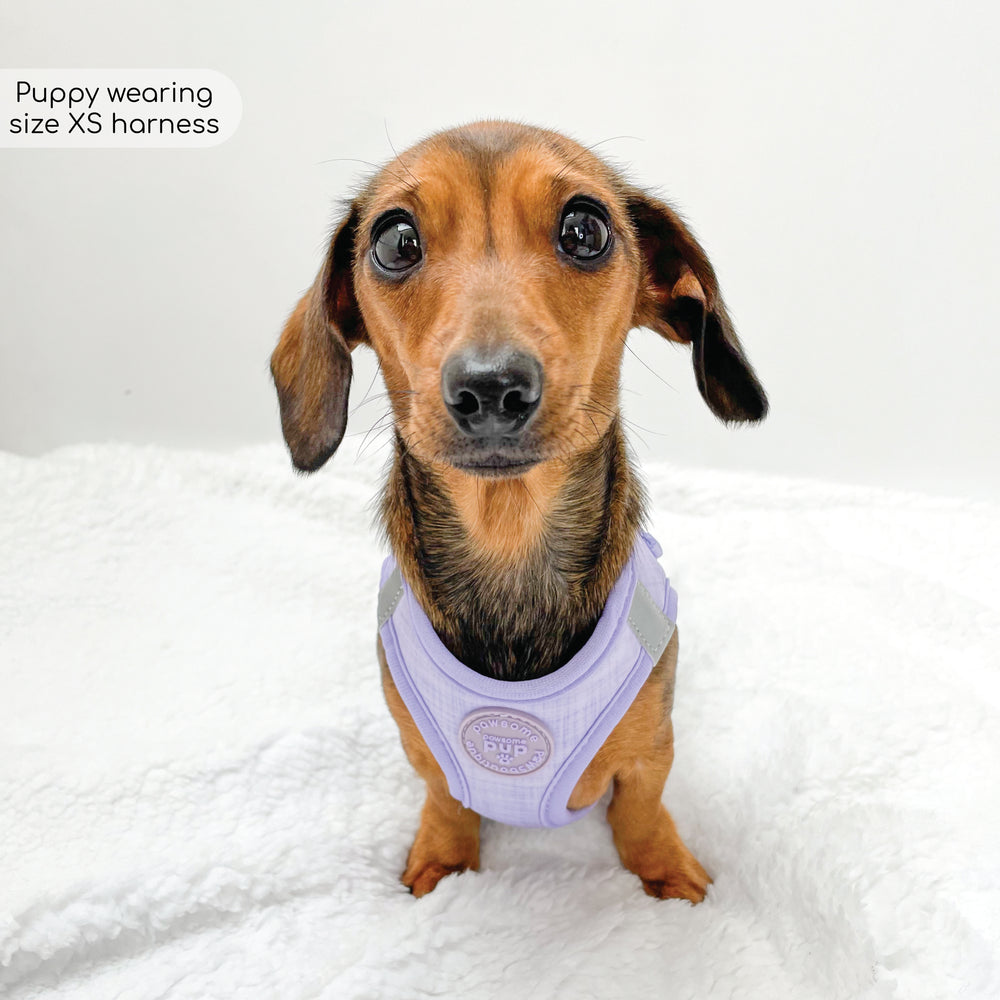 Pawsome Pup Harness - Lilac