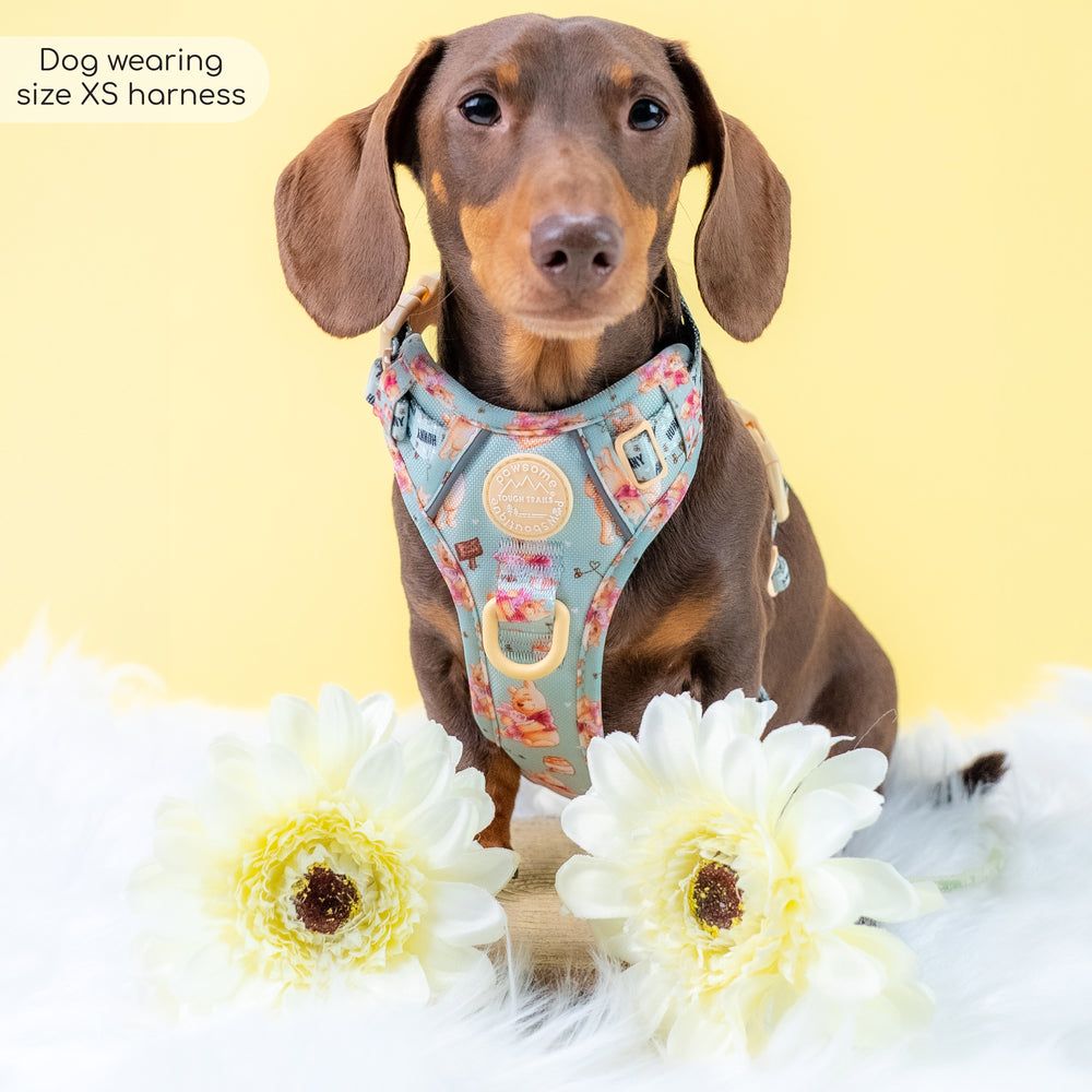 Disney© Tough Trails™ Harness - Winnie The Pooh