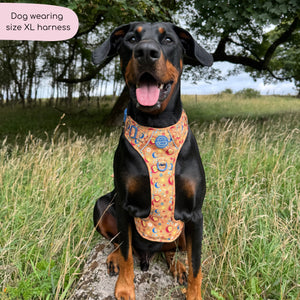 Tough Trails™ Harness - Celestial Spirit