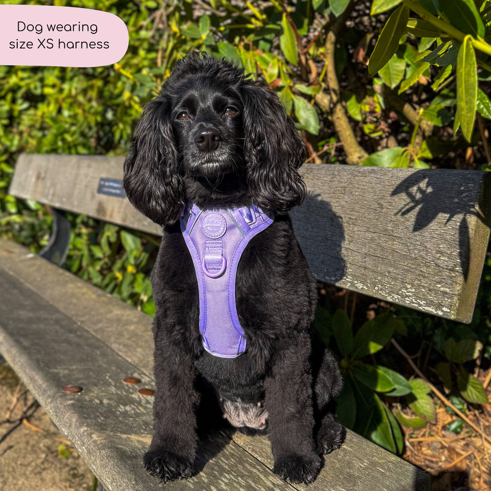 Tough Trails™ Harness - Walkies Ready® Lavender Lilac