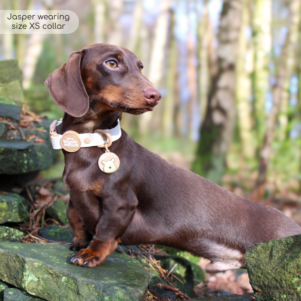 Disney© Waterproof Collar - Winnie The Pooh