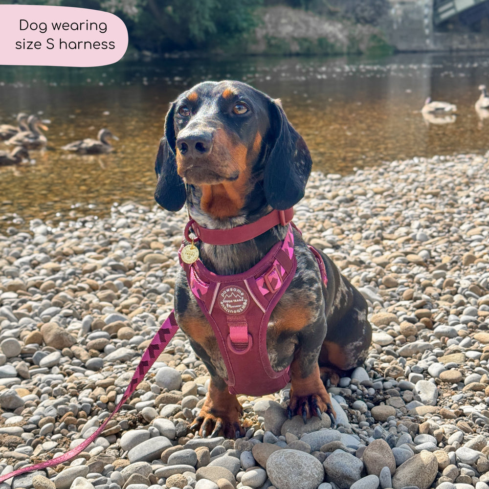 Tough Trails™ Harness - Walkies Ready® Mulberry