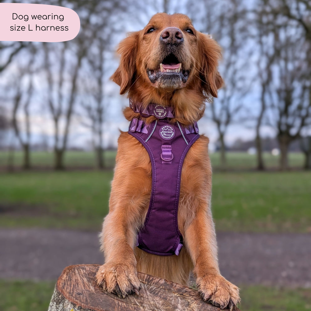 Tough Trails™ Harness - Walkies Ready® Plum