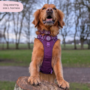 Tough Trails™ Harness - Walkies Ready® Plum