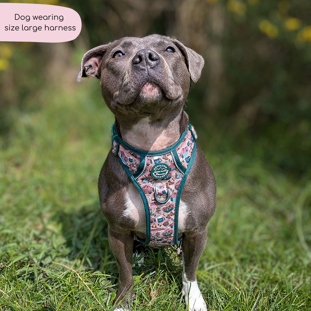 Tough Trails™ Harness -  Adventure Awaits