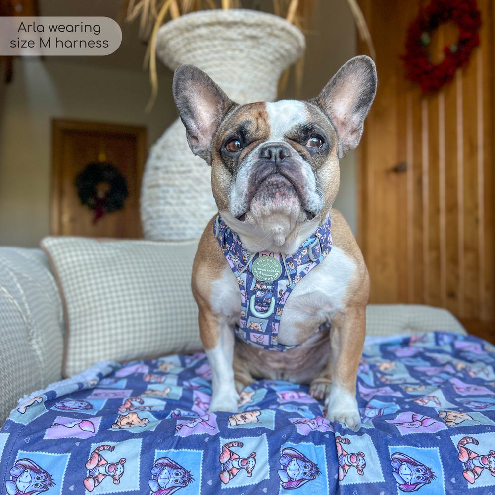 Disney© Tough Trails™ Harness -  Winnie + Friends