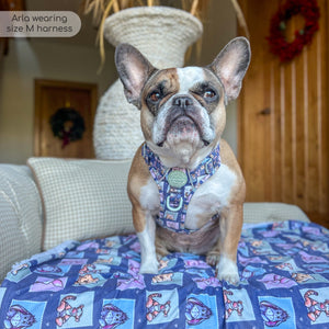 Disney© Tough Trails™ Harness -  Winnie + Friends