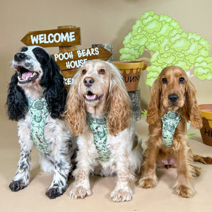 Disney© Tough Trails™ Harness - 100 Aker Wood