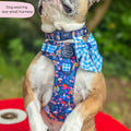 Disney© Tough Trails™ Harness - Alice In Wonderland