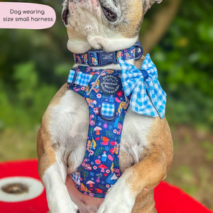 Disney© Tough Trails™ Harness - Alice In Wonderland