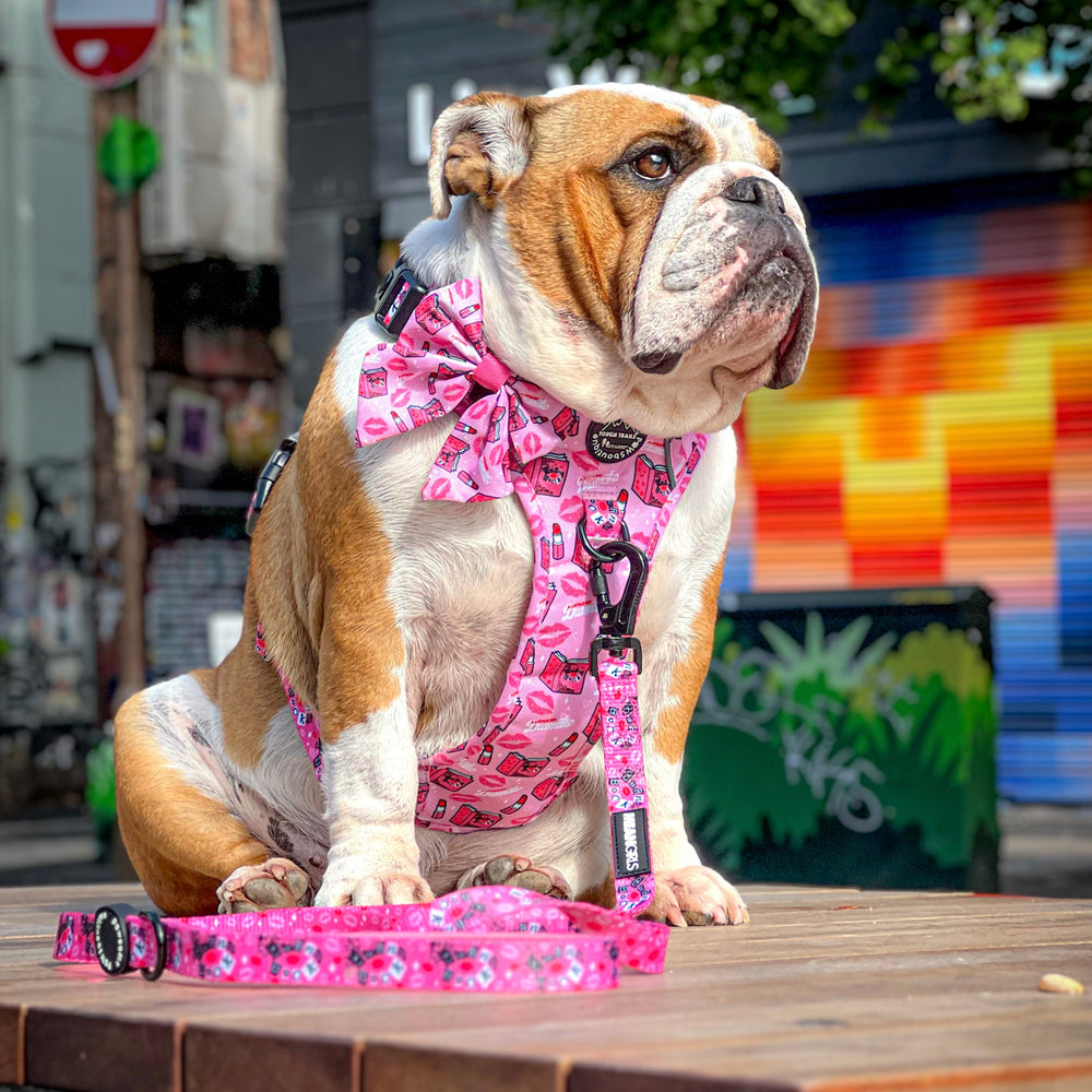 Sailor Bow -Mean Girls