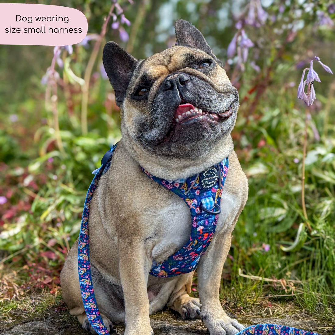Disney© Tough Trails™ Harness - Alice In Wonderland