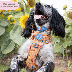 Tough Trails™ Harness - Celestial Spirit