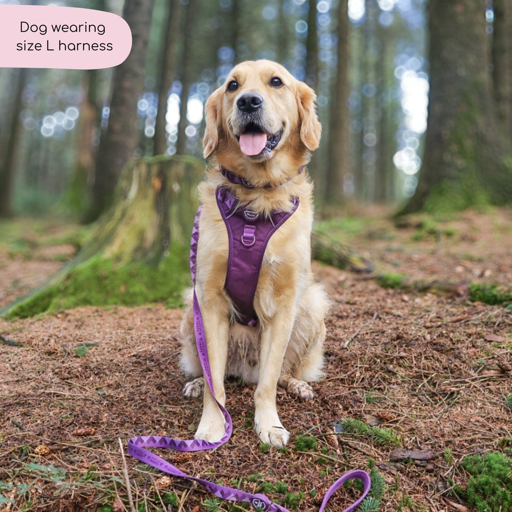 Tough Trails™ Harness - Walkies Ready® Plum