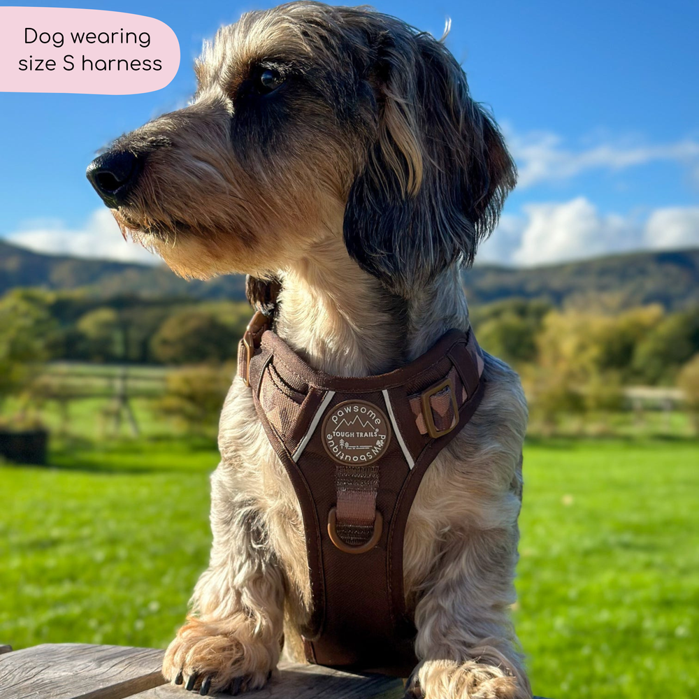 Tough Trails™ Harness - Walkies Ready® Chocolate Brown