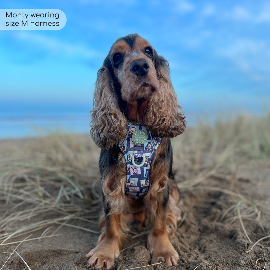 Disney© Tough Trails™ Harness -  Winnie + Friends