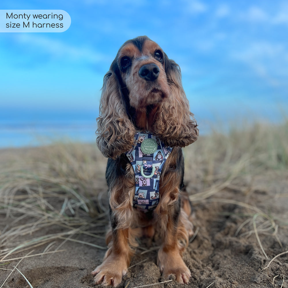 Disney© Tough Trails™ Harness -  Winnie + Friends