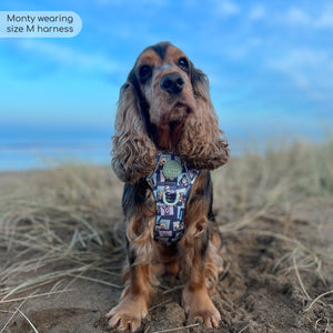 Disney© Tough Trails™ Harness -  Winnie + Friends