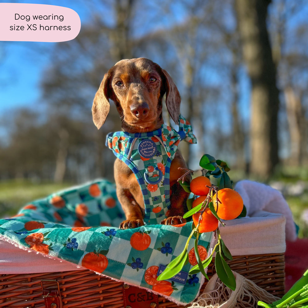 Tough Trails™ Harness -  Fruit Punch